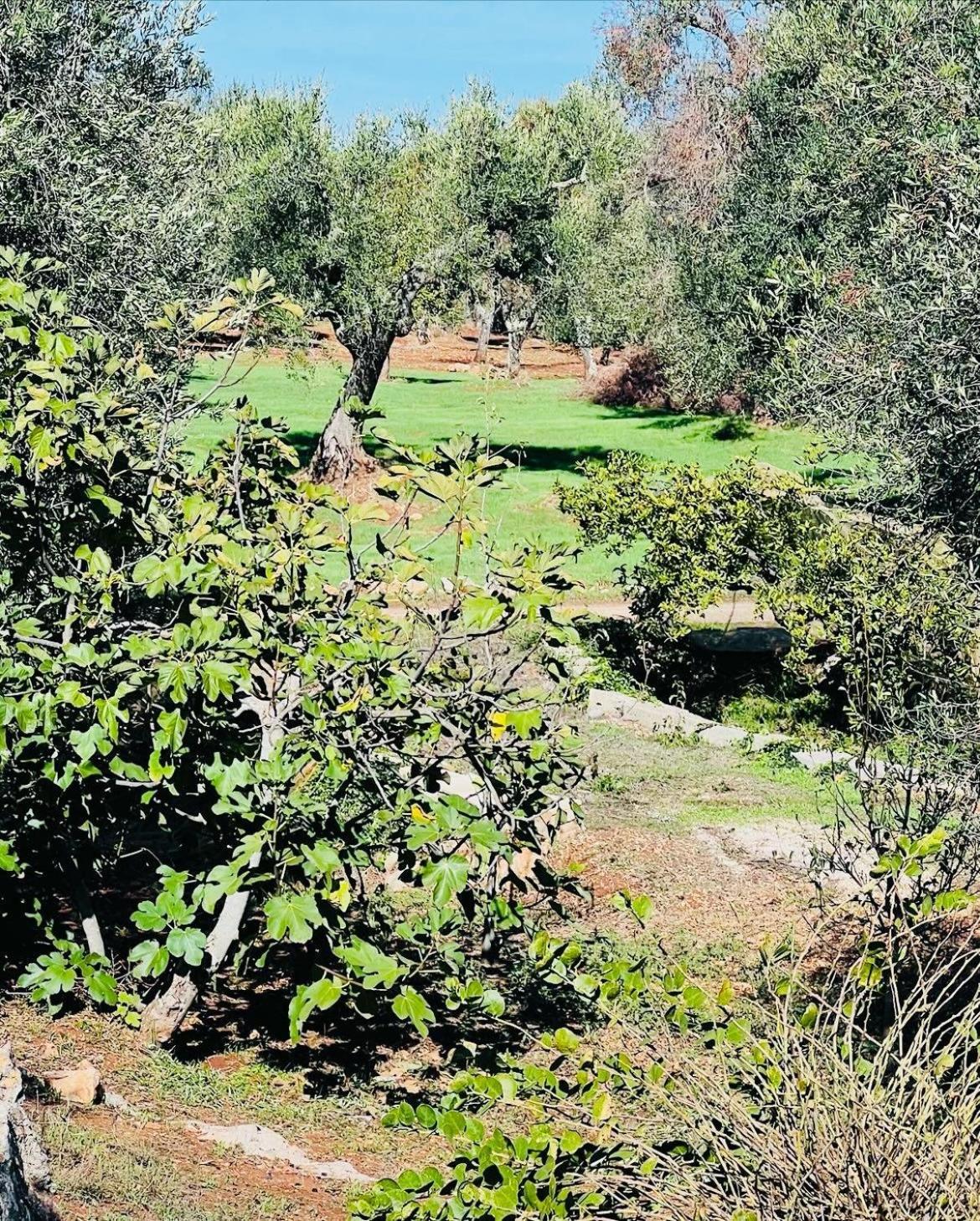 Villa Trullo Antelmi à Ceglie Messapica Extérieur photo
